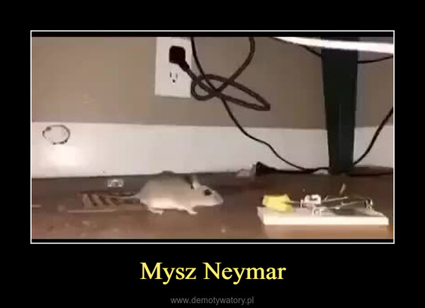 Mysz Neymar –  