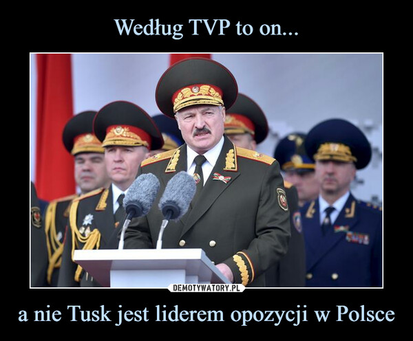 a nie Tusk jest liderem opozycji w Polsce –  