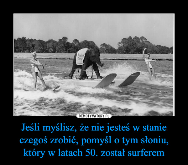 Jeśli myślisz, że nie jesteś w stanie czegoś zrobić, pomyśl o tym słoniu, który w latach 50. został surferem –  