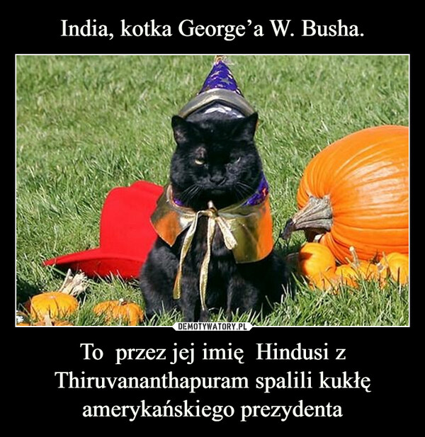 India, kotka George’a W. Busha. To  przez jej imię  Hindusi z Thiruvananthapuram spalili kukłę amerykańskiego prezydenta