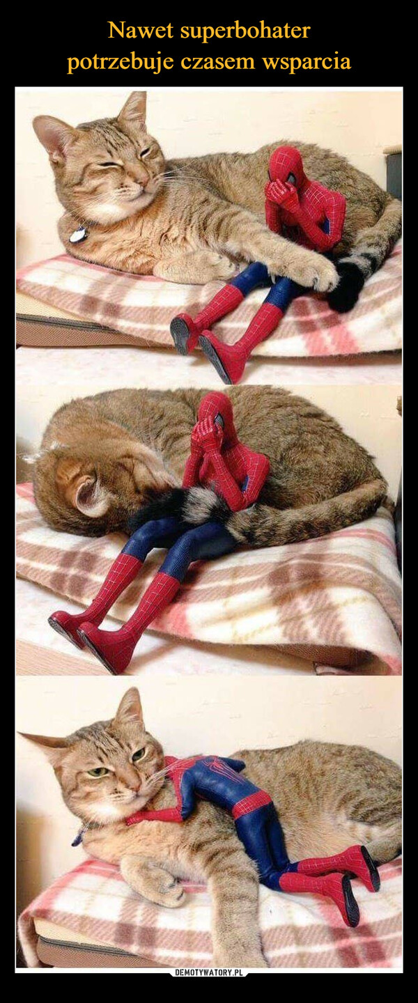 Nawet superbohater
potrzebuje czasem wsparcia