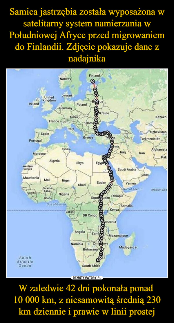 W zaledwie 42 dni pokonała ponad 10 000 km, z niesamowitą średnią 230 km dziennie i prawie w linii prostej –  