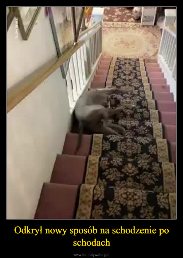 Odkrył nowy sposób na schodzenie po schodach –  