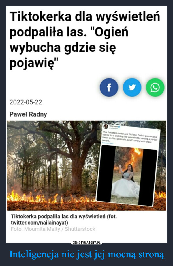 Inteligencja nie jest jej mocną stroną –  Tiktokerka dla wyświetleń podpaliła las. "Ogień wybucha gdzie się pojawię" 2022-05-22 Paw. Radny Tiktokerka podpaliła las dla wyświetleń (fot. twitter.com/nailainayat)