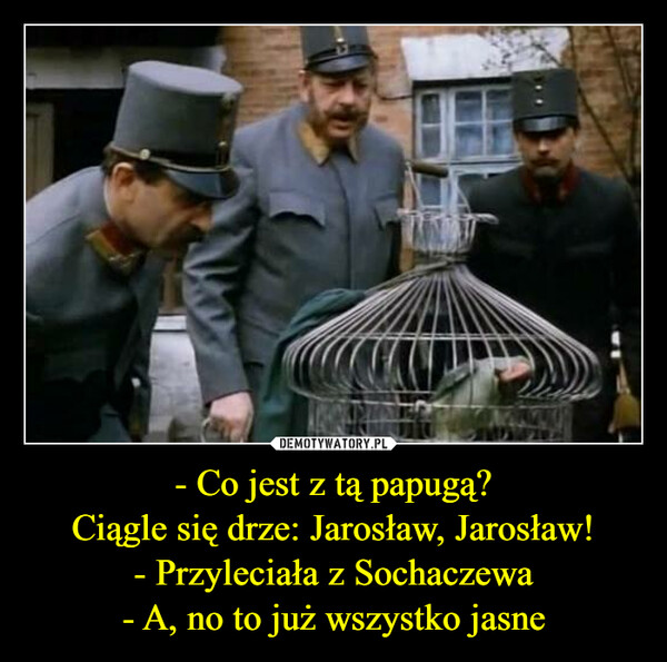 - Co jest z tą papugą?Ciągle się drze: Jarosław, Jarosław!- Przyleciała z Sochaczewa- A, no to już wszystko jasne –  