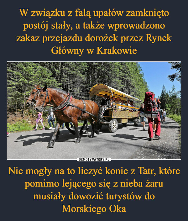 Nie mogły na to liczyć konie z Tatr, które pomimo lejącego się z nieba żaru musiały dowozić turystów doMorskiego Oka –  