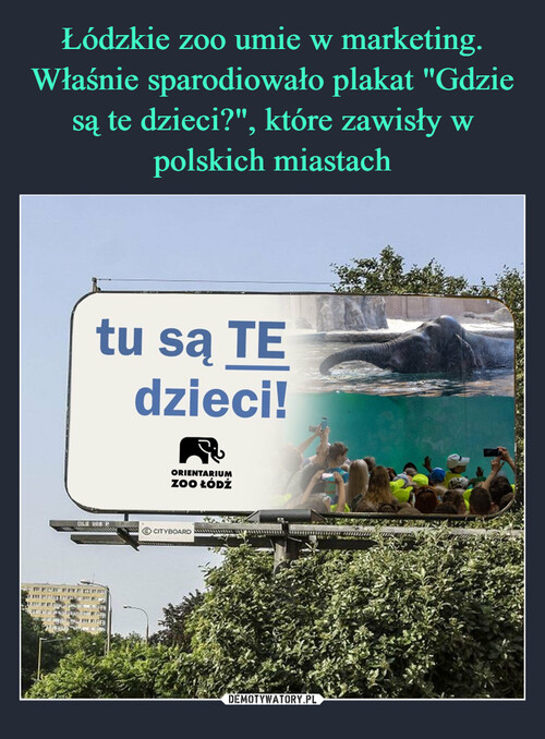 Łódzkie zoo umie w marketing. Właśnie sparodiowało plakat "Gdzie są te dzieci?", które zawisły w polskich miastach