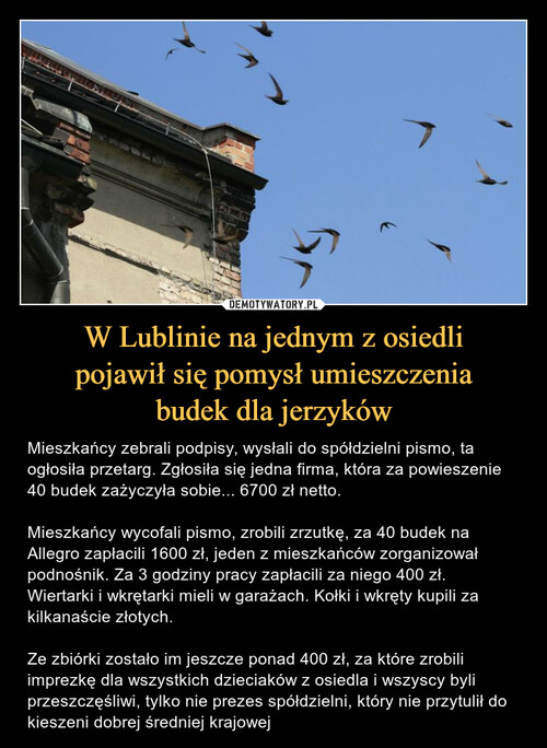 W Lublinie na jednym z osiedli
pojawił się pomysł umieszczenia
budek dla jerzyków