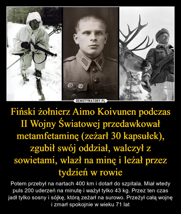 Fiński żołnierz Aimo Koivunen podczas II Wojny Światowej przedawkował metamfetaminę (zeżarł 30 kapsułek), zgubił swój oddział, walczył z sowietami, wlazł na minę i leżał przez tydzień w rowie – Potem przebył na nartach 400 km i dotarł do szpitala. Miał wtedy puls 200 uderzeń na minutę i ważył tylko 43 kg. Przez ten czas jadł tylko sosny i sójkę, którą zeżarł na surowo. Przeżył całą wojnę i zmarł spokojnie w wieku 71 lat 