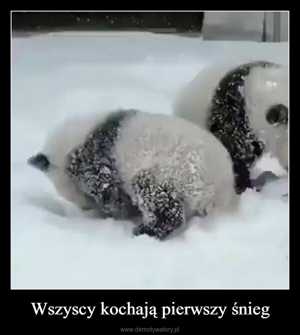 Wszyscy kochają pierwszy śnieg –  