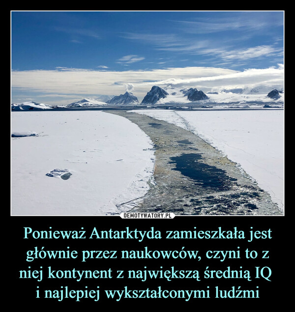 Ponieważ Antarktyda zamieszkała jest głównie przez naukowców, czyni to z niej kontynent z największą średnią IQ i najlepiej wykształconymi ludźmi –  