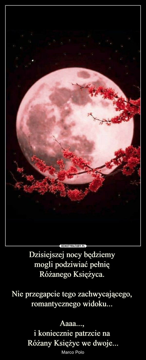 Dzisiejszej nocy będziemy mogli podziwiać pełnię Różanego Księżyca. Nie przegapcie tego zachwycającego, romantycznego widoku... Aaaa..., i koniecznie patrzcie na Różany Księżyc we dwoje... – Marco Polo 