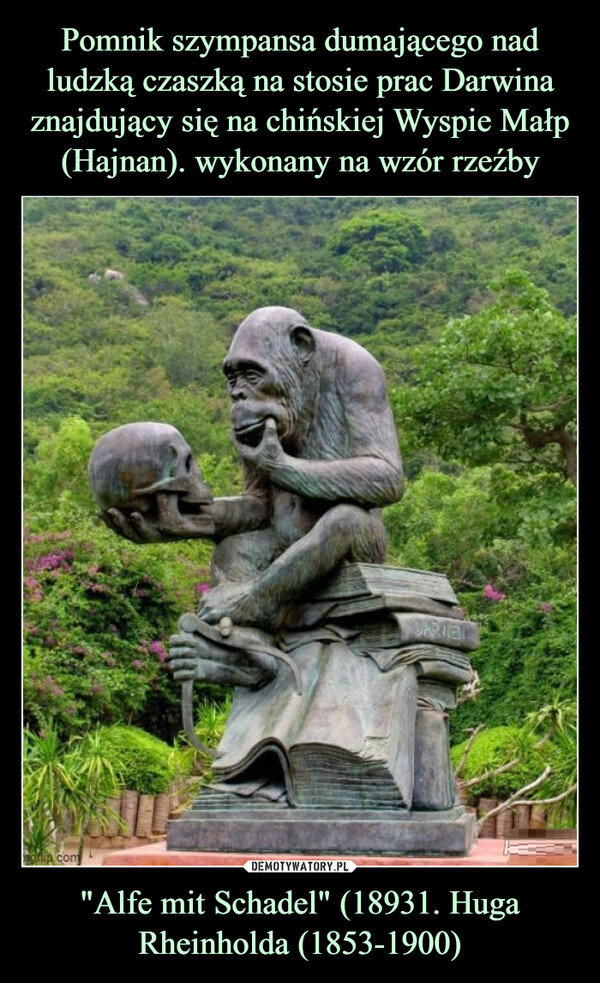 Pomnik szympansa dumającego nad ludzką czaszką na stosie prac Darwina znajdujący się na chińskiej Wyspie Małp (Hajnan). wykonany na wzór rzeźby "Alfe mit Schadel" (18931. Huga Rheinholda (1853-1900)