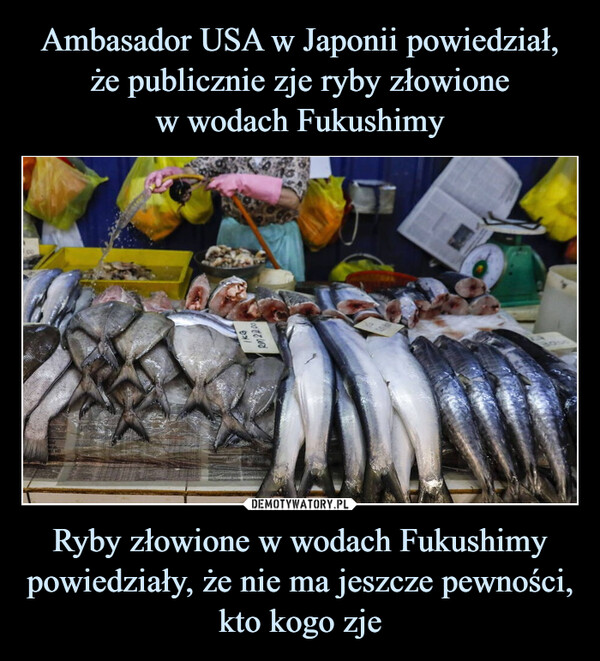 Ryby złowione w wodach Fukushimy powiedziały, że nie ma jeszcze pewności, kto kogo zje –  /KGRon 22.0089