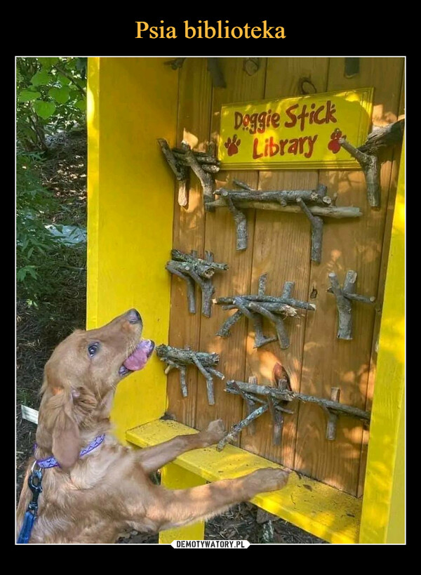 Psia biblioteka