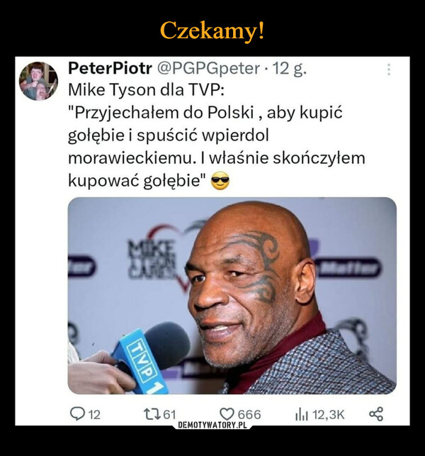  –  PeterPiotr @PGPGpeter 12 g.Mike Tyson dla TVP:"Przyjechałem do Polski, aby kupićgołębie i spuścić wpierdolmorawieckiemu. I właśnie skończyłemkupować gołębie"12MIKETVP1761666il 12,3Kgo