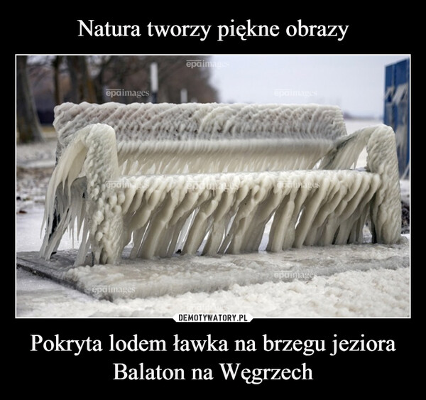 Pokryta lodem ławka na brzegu jeziora Balaton na Węgrzech –  epaimagesepaimagesepoimagesepaimagesepaimaegetimagesepaimage