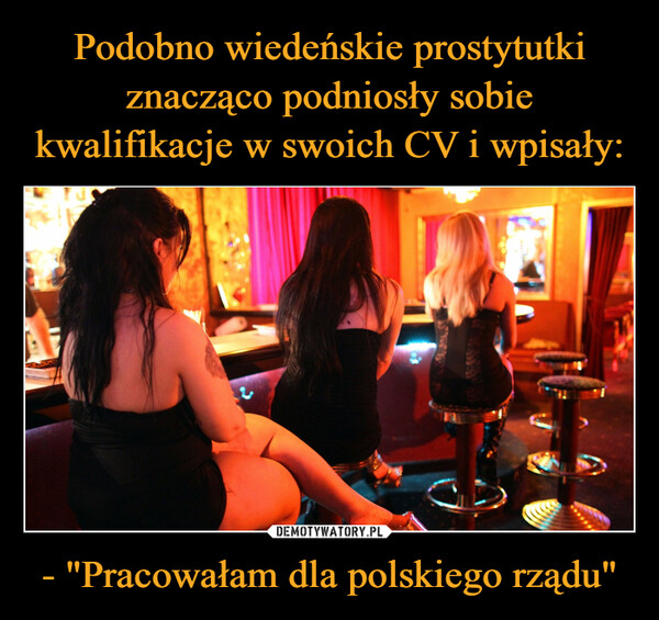 Podobno wiedeńskie prostytutki znacząco podniosły sobie kwalifikacje w swoich CV i wpisały: - "Pracowałam dla polskiego rządu"