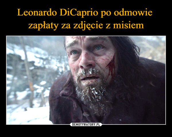 Leonardo DiCaprio po odmowie 
zapłaty za zdjęcie z misiem