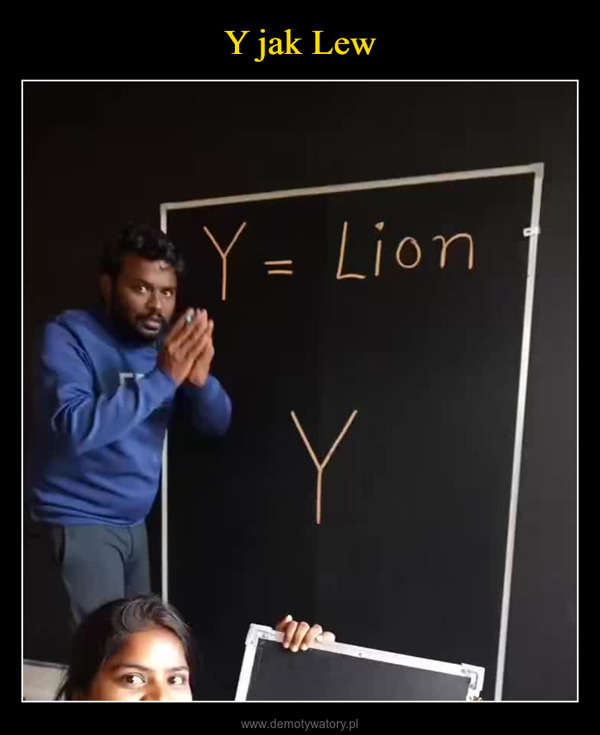  –  Y = LionB